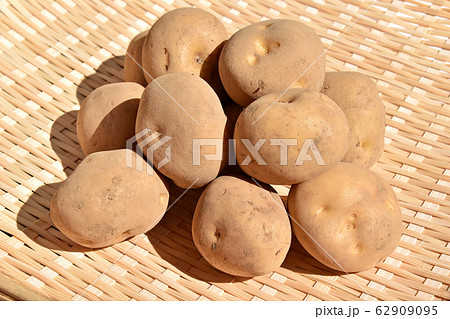 じゃがいも（きたかむい） 62909095