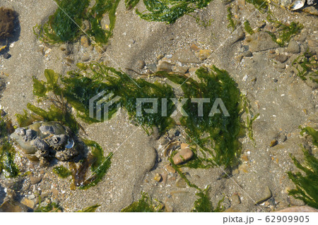 京畿道 キョンギド 岩 62909905