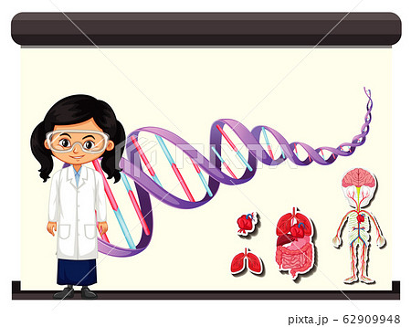 Scientist with diagram of human DNA 62909948