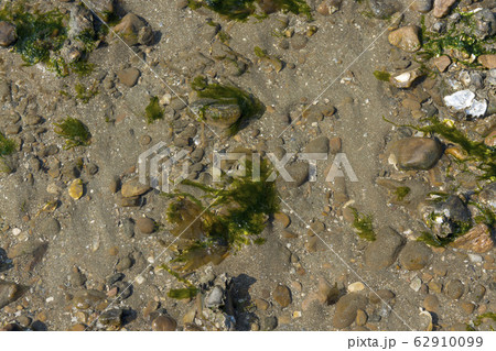 京畿道 キョンギド 岩 62910099