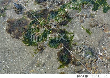 京畿道 キョンギド 岩 62910207