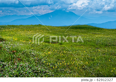 平ヶ岳山頂湿原から見る燧ヶ岳 62912327