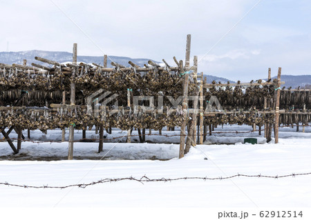 季節 大関嶺 雪景色 62912514