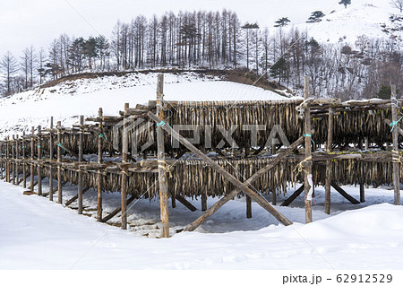 季節 大関嶺 雪景色 62912529
