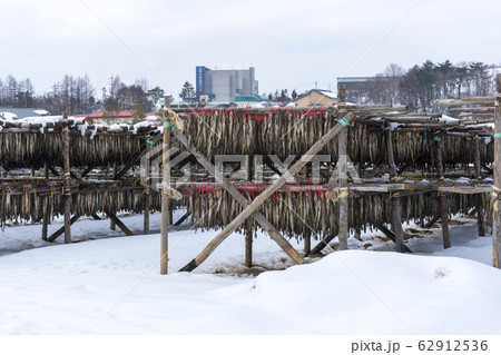 季節 大関嶺 雪景色 62912536