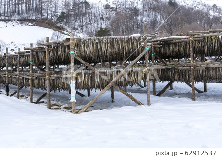 季節 大関嶺 雪景色 62912537