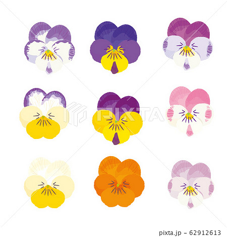 ビオラの花イラスト セットのイラスト素材