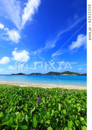 座間味島　阿真ビーチ 62915359