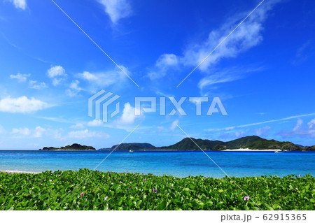 座間味島　阿真ビーチ 62915365