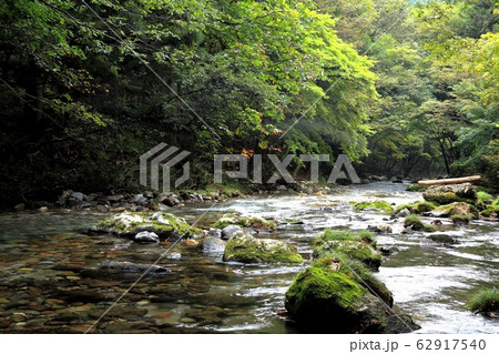 円原の伏流水.1(岐阜県山県市円原地区) 円原の伏流水.1(岐阜県山県市円原地区) 62917540