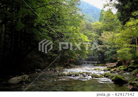 円原の伏流水.3(岐阜県山県市円原地区) 円原の伏流水.3(岐阜県山県市円原地区) 62917542