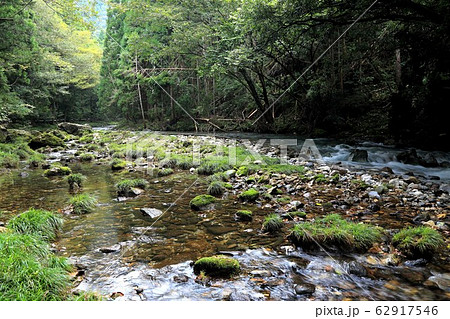 円原の伏流水.7(岐阜県山県市円原地区) 円原の伏流水.7(岐阜県山県市円原地区) 62917546
