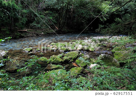 円原の伏流水.12（岐阜県山県市円原地区） 62917551