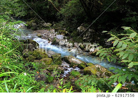 円原の伏流水.17(岐阜県山県市円原地区) 円原の伏流水.17(岐阜県山県市円原地区) 62917556