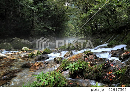 円原の伏流水.26(岐阜県山県市円原地区) 円原の伏流水.26(岐阜県山県市円原地区) 62917565