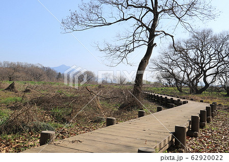 オオムラサキの森　　　小貝川ふれあい公園 62920022
