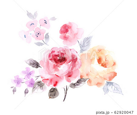 精致的水彩手绘花卉素材のイラスト素材 [62920047] - PIXTA