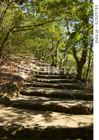 金華山　七曲り登山道　岐阜城 62920783