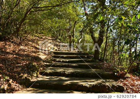 金華山　七曲り登山道　岐阜城 62920784