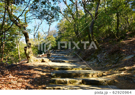 金華山　七曲り登山道　岐阜城(大手道） 62920964