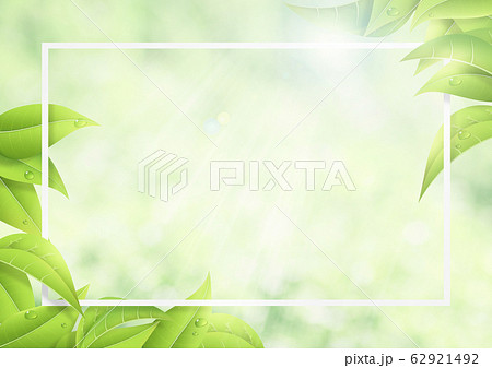 朝露-葉っぱ-リーフ-フレーム-新緑 朝露-葉っぱ-リーフ-フレーム-新緑 62921492