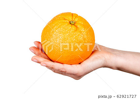 Orange in hand on white background. Vegetarian food and vitamins Orange in hand on white background. Vegetarian food and vitamins 62921727