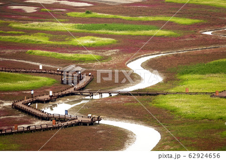 風景 証 新安郡 62924656