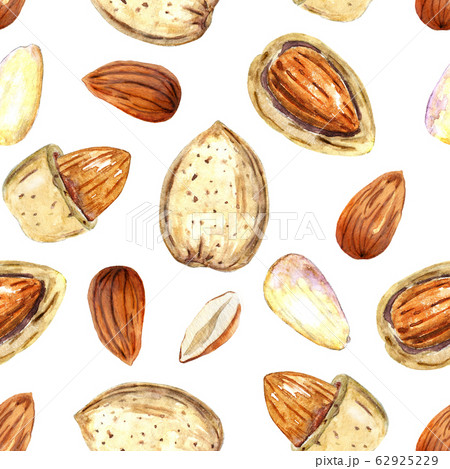 Watercolor pattern with almond nuts 62925229
