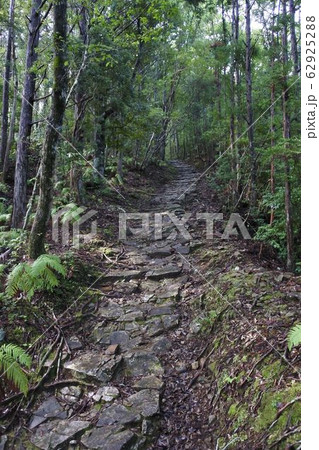 熊野参詣道小辺路の坂 果無し峠 熊野参詣道小辺路の坂 果無し峠 62925288