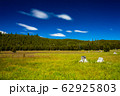 アメリカの風景　緑の草原と青空 62925803