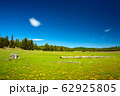 アメリカの風景　緑の草原と青空 62925805