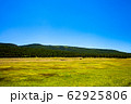 アメリカの風景　緑の草原と青空 62925806