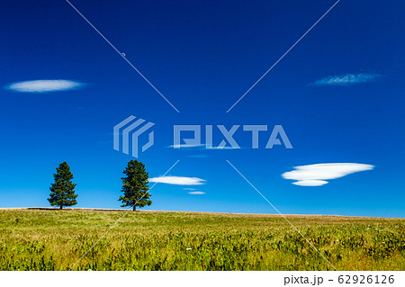アメリカの風景　草原と青空 62926126