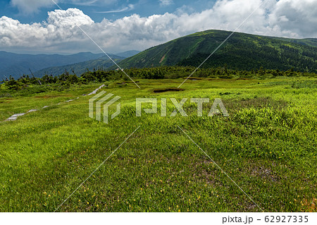 夏の池ノ岳の池塘と平ヶ岳 夏の池ノ岳の池塘と平ヶ岳 62927335