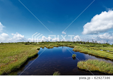 夏の平ヶ岳山上湿原 62927386