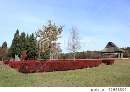 秋田県立北欧の杜公園 両陛下お手植えの木 62928305