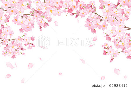 桜と散る花びらのアーチ型フレーム 水彩イラストのイラスト素材