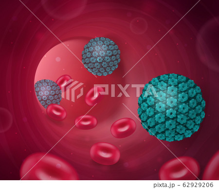 Viruses In Blood Composition 62929206
