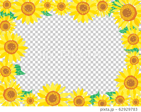 夏天黃色向日葵的框架插圖 夏天黃色向日葵的框架插圖 62929783