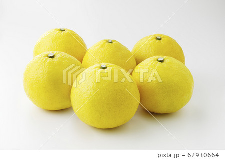 はるか はるか 62930664