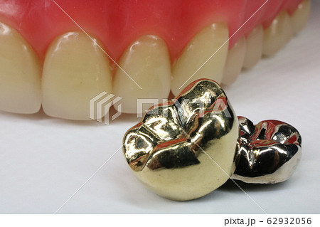 歯 歯 62932056