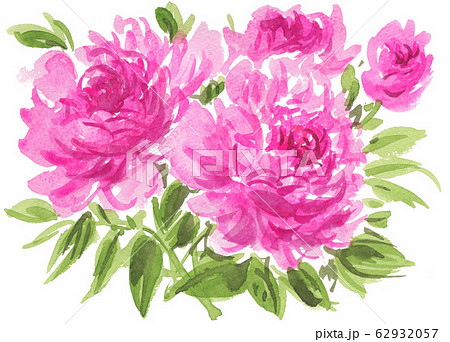 Peony304pix7のイラスト素材 Peony304pix7のイラスト素材