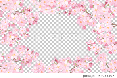 桜の枝で囲んだフレーム　水彩イラスト 62933397