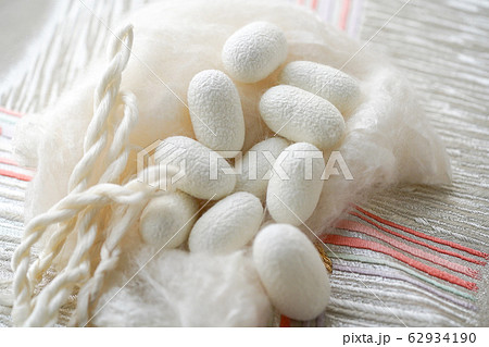 まゆ　生糸　真綿　カイコ 62934190