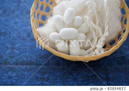 きぬ　カイコ　まゆ　生糸　真綿 62934657