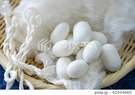 きぬ　カイコ　まゆ　生糸　真綿 62934660