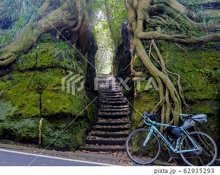 伊豆大島の自転車旅 62935293