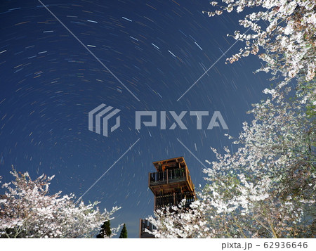 桜咲く夜の城山公園 伊集院 桜咲く夜の城山公園 伊集院 62936646