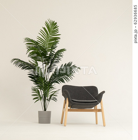 Armchair and big bush in studio 62936685