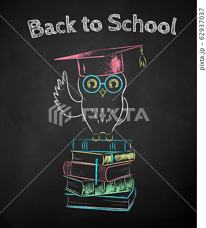 Chalk drawn poster of owl sitting on books Chalk drawn poster of owl sitting on books 62937037